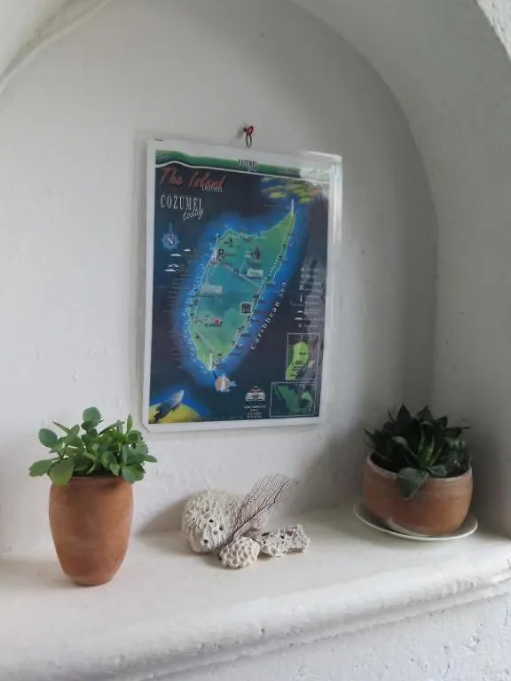 Casa Las Flores Cozumel